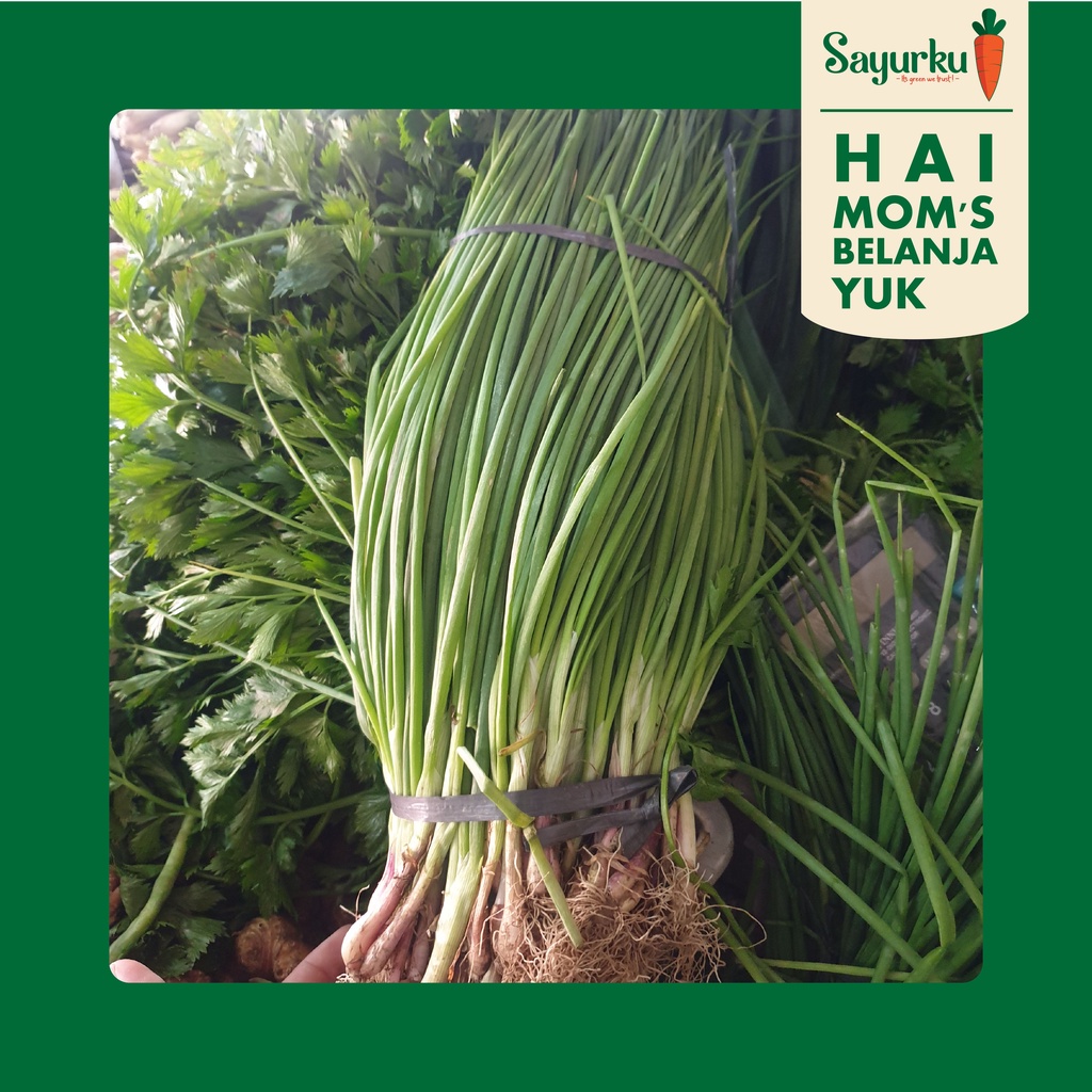 

daun bawang | Organic Scallions