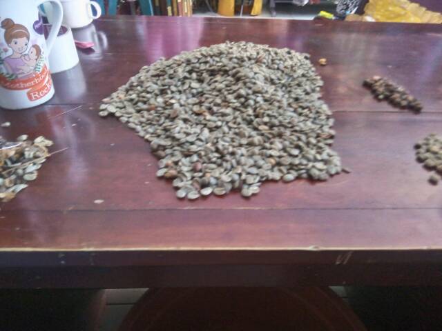 Biji Robusta Kopi Temanggung / Green Bean Robusta Temanggung