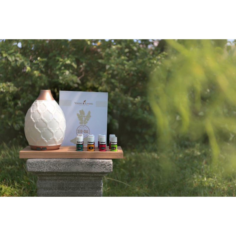 PREMIUM STATER KIT YOUNG LIVING (12 EO & DIFFUSER) ORIGINAL ESSENTIAL OIL