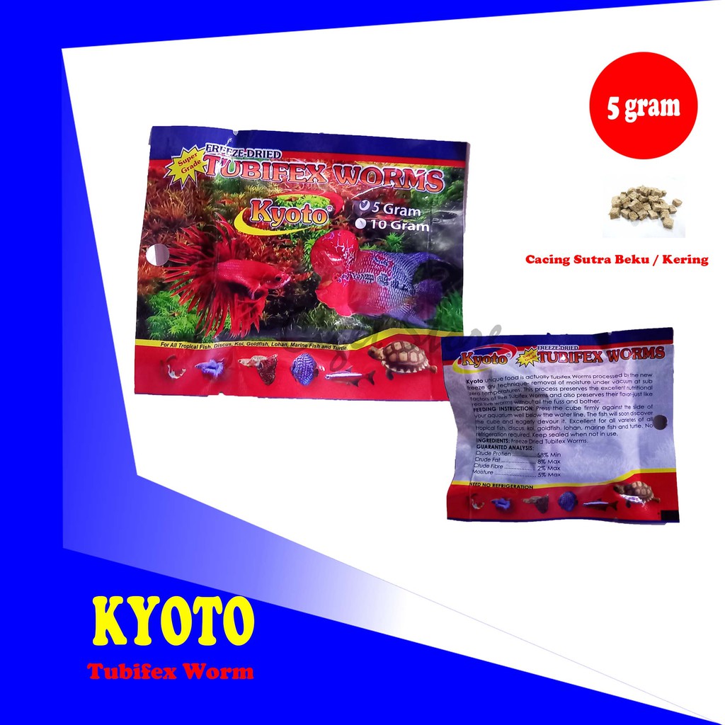 Tubifex worm cacing sutra kering