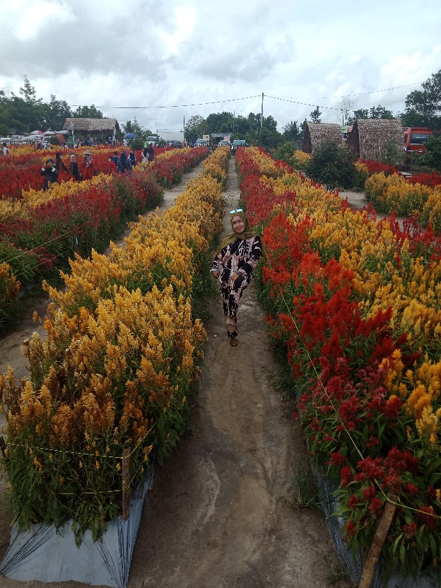 Gamis Batik Manggar, Padi,sekar,cantik,kubis,kipas,daun,kupu,nadine,gendis,kawung,termurah