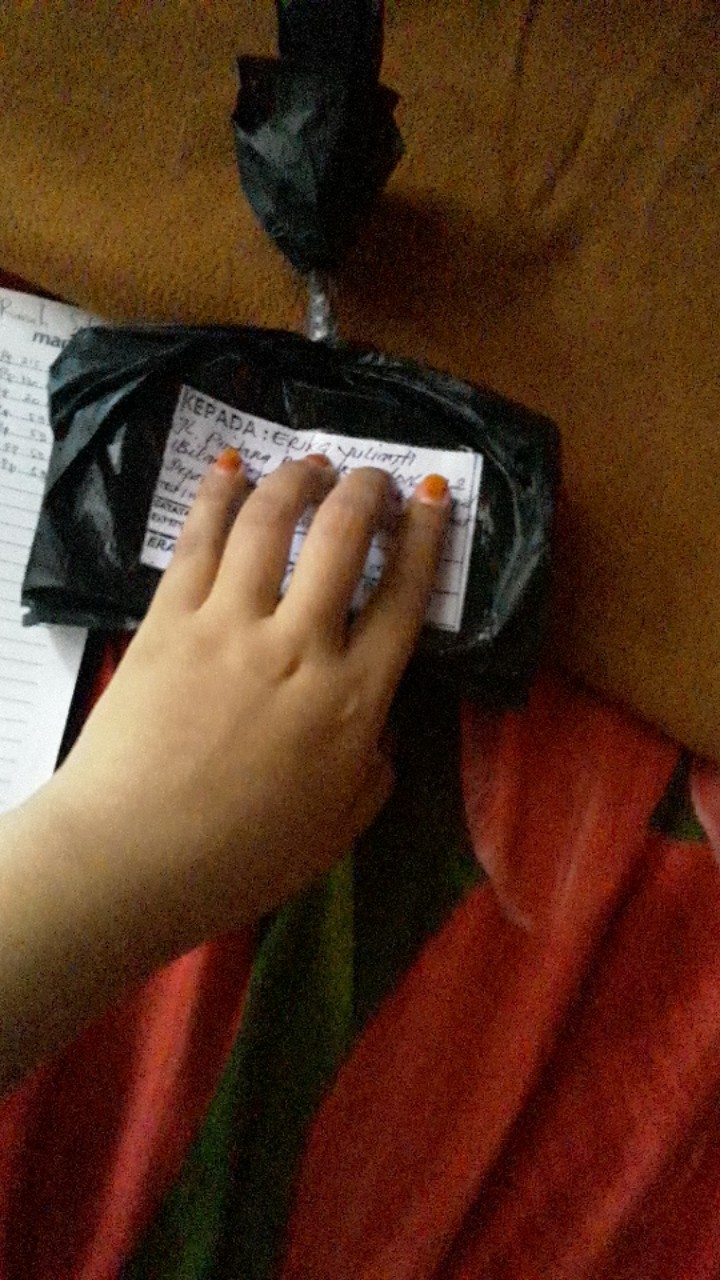 Paku Pines / Paku Payung / Thumb Tacks