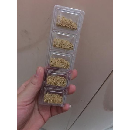 Obat Anti Rayap - Obat Rayap