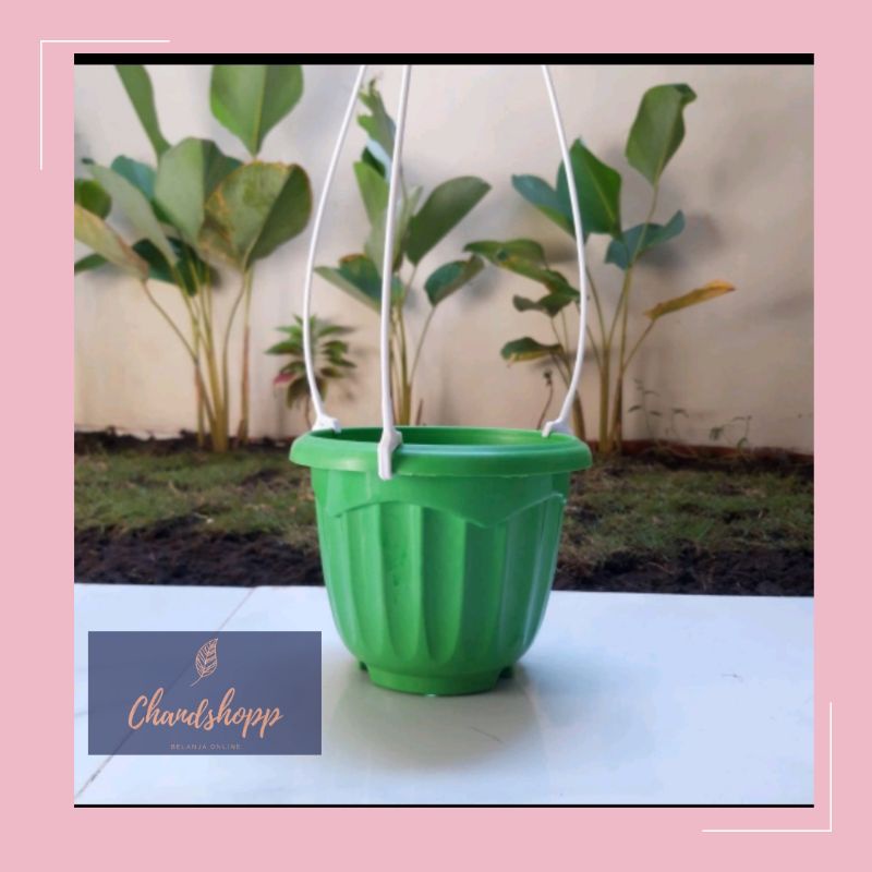 Pot Gantung Matahari 15 cm  Warna Warni/Pot gantung plastik/Pot gantung bunga plastik