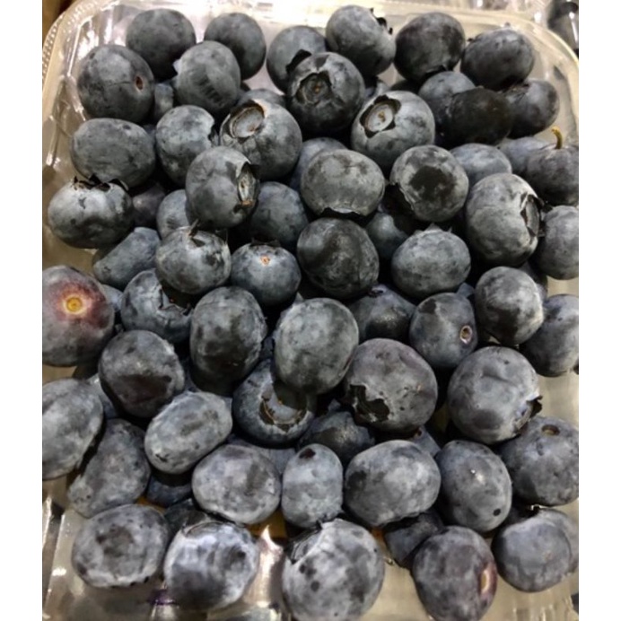 

Blueberry import / Fresh / termurah