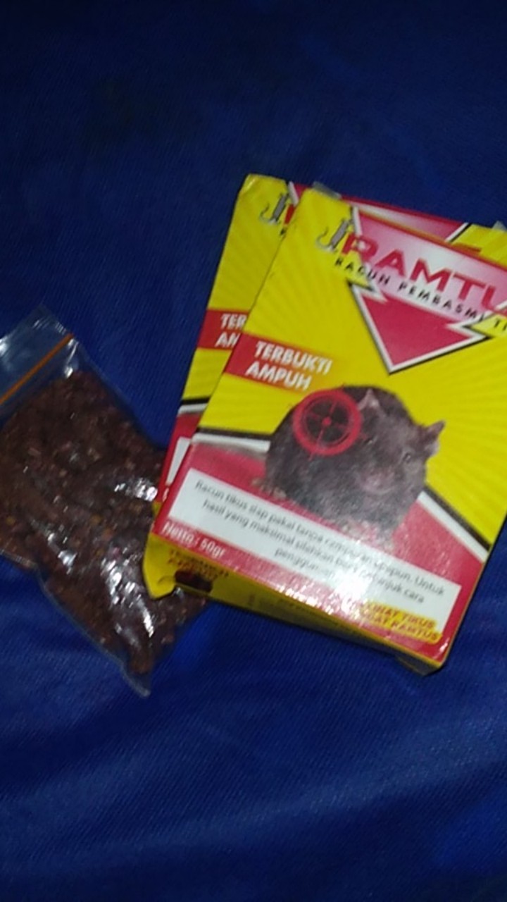 Ramtus Racun Tikus Got Curut Paling Ampuh Pembasmi Tikus Dirumah Racun Tikus Di Mesin Mobil 2 Pack