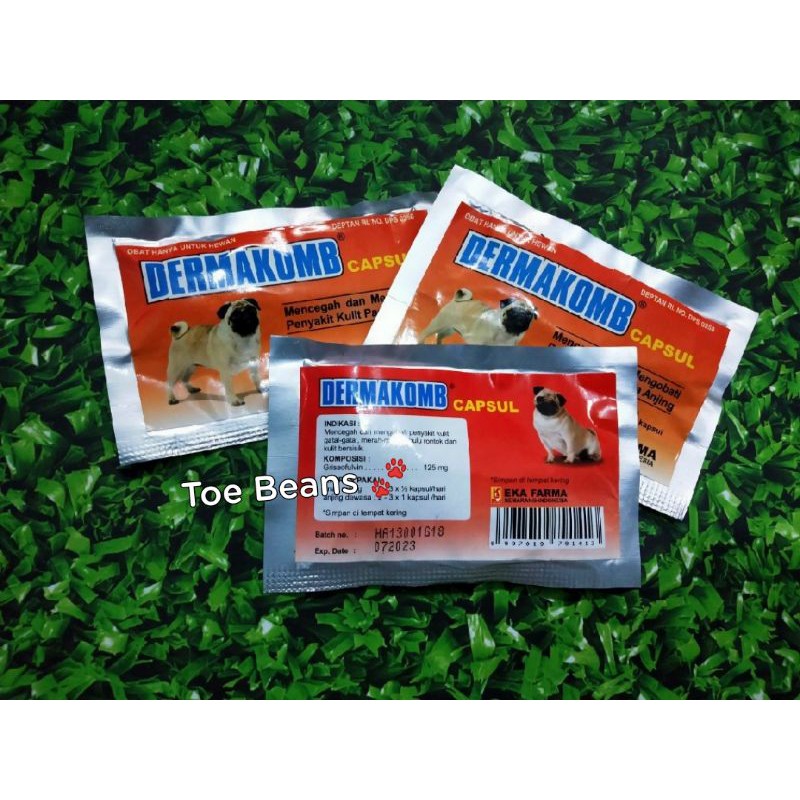 Dermakomb Obat Sakit Kulit Gatal Merah Bulu Rontok Anjing Eka Farma Ekafarma
