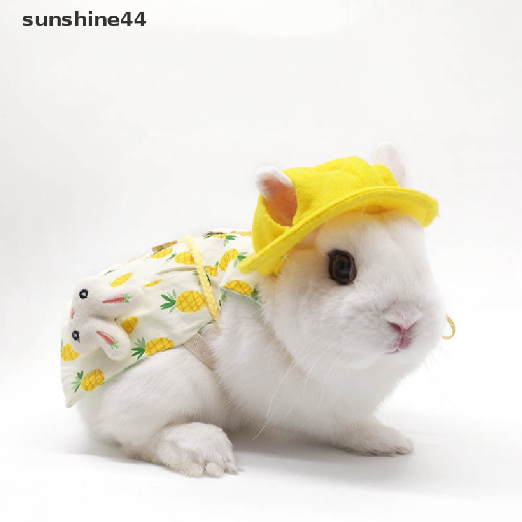 Sunshine Topi Binatang Peliharaan Untuk Guinea Pig / Kelinci / Tupai