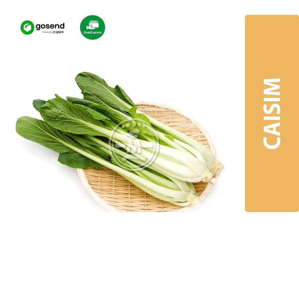 

Sawi / Caisim Hidroponik [KHUSUS INSTANT]