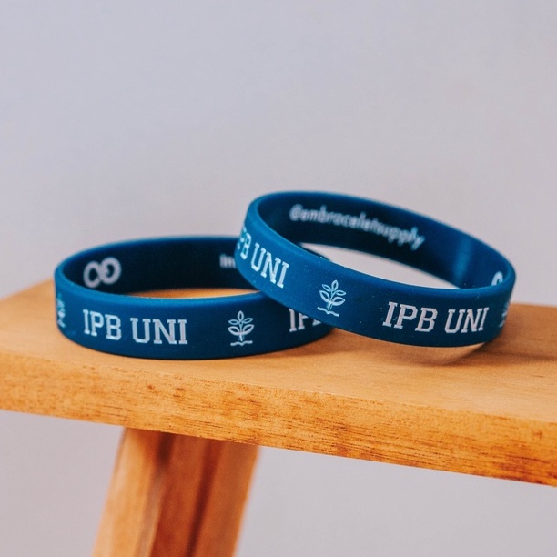 IPB Uni - Navy - University Wristband by Embracelet