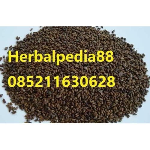 jue ming zi Cassia seed Semen Cassiae 1kilo gram