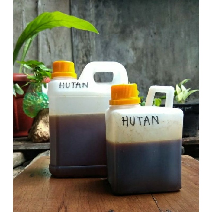 

madu mentah, madu murni, madu hutan, raw honey