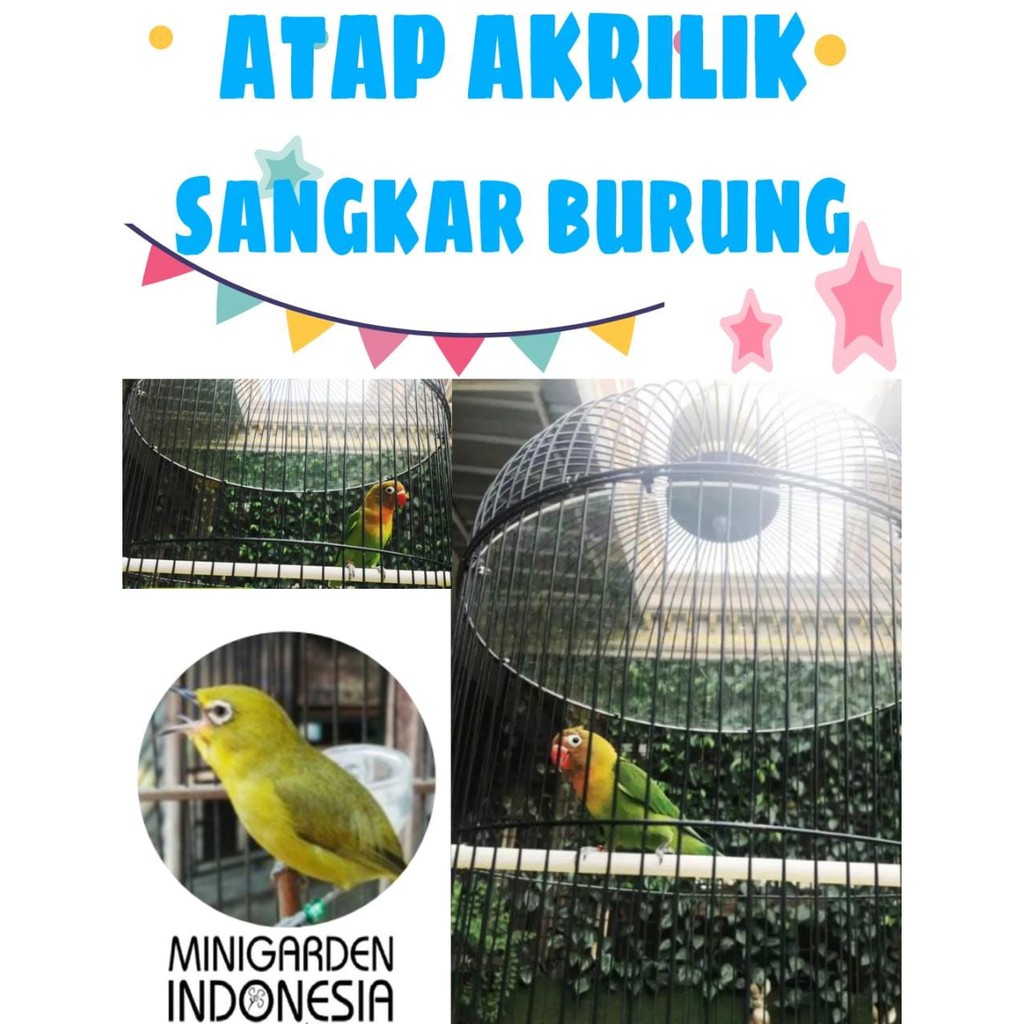 PLAFON SANGKAR BURUNG LOVEBIRD AKRILIK