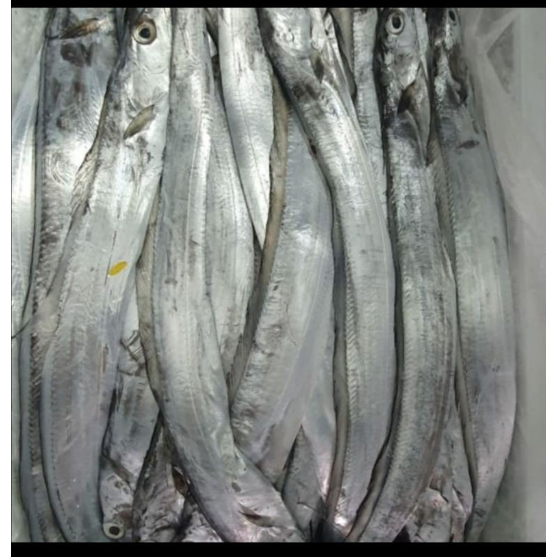 

ikan layur