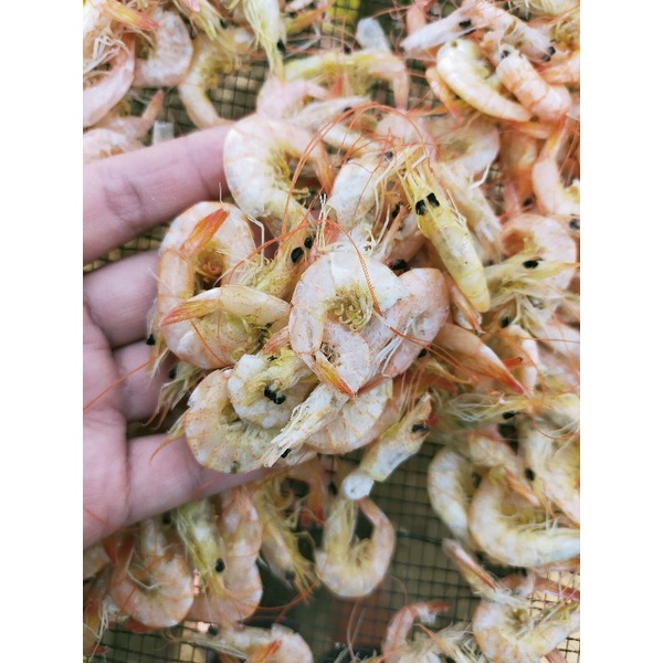 

Udang Manis Kering Medan 500 gram