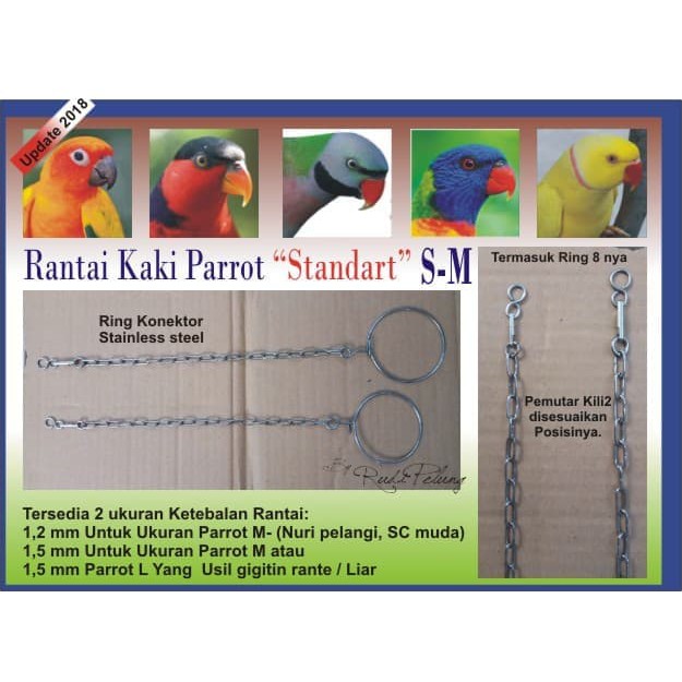 Standart Rantai Kaki Burung Parrot S M Stainless Steel