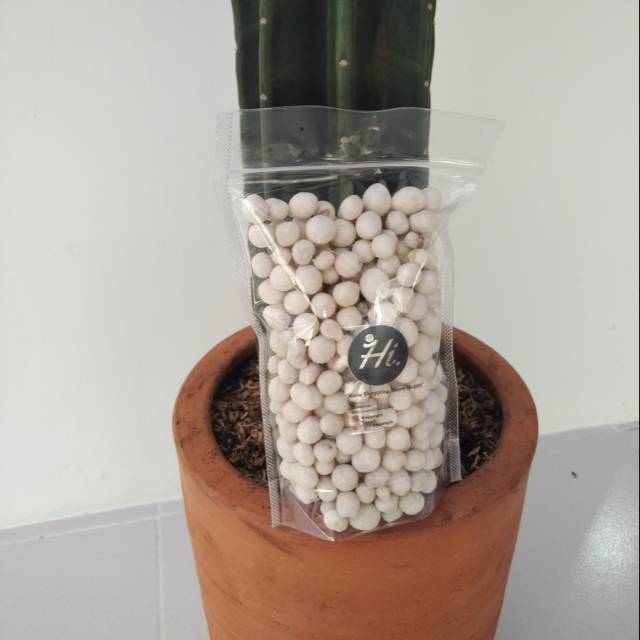 

Kacang Atom Gurih