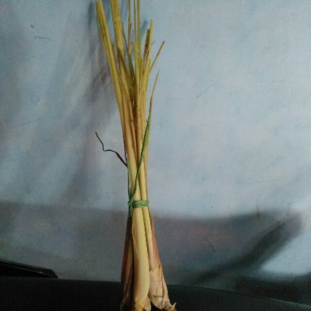 

Serei untuk masakn untuk ramuan dll