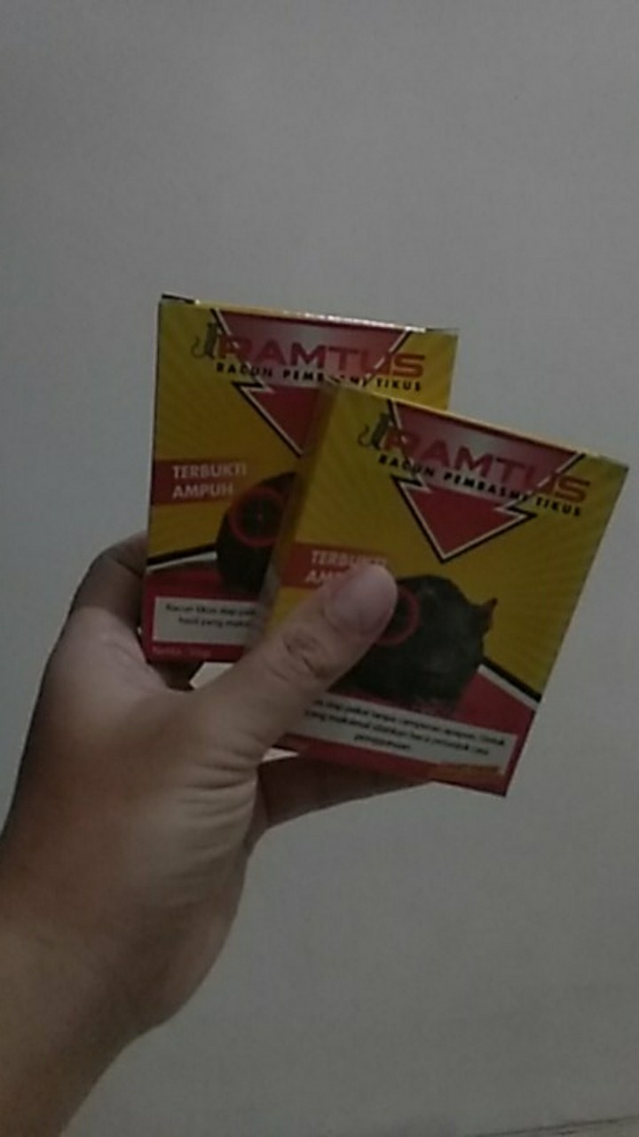 Racun Pembasmi Dan Pengusir Tikus Mobil Paling Ampuh Cikarang