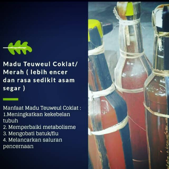 

Madu Teuwel Coklat/Merah ( lebih encer dan rasa sedikit asem seger)