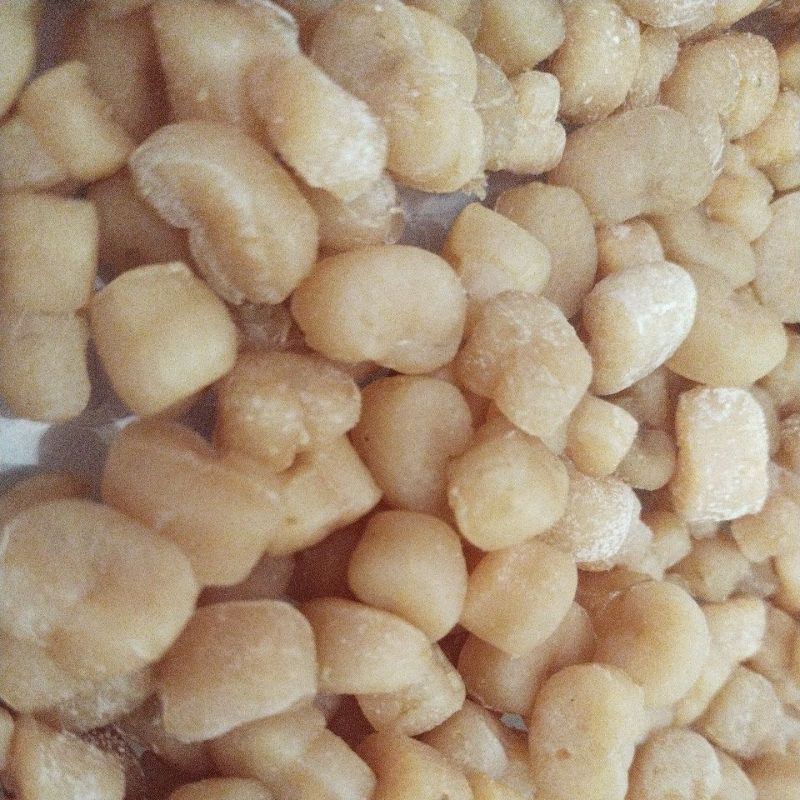 

Scallop Kering 100 gram Ganbei