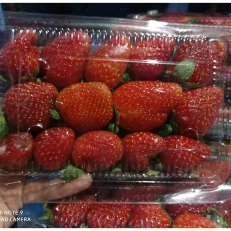 

BUAH STRAWBERRY MERAH SUPER FRESH 1 PACK