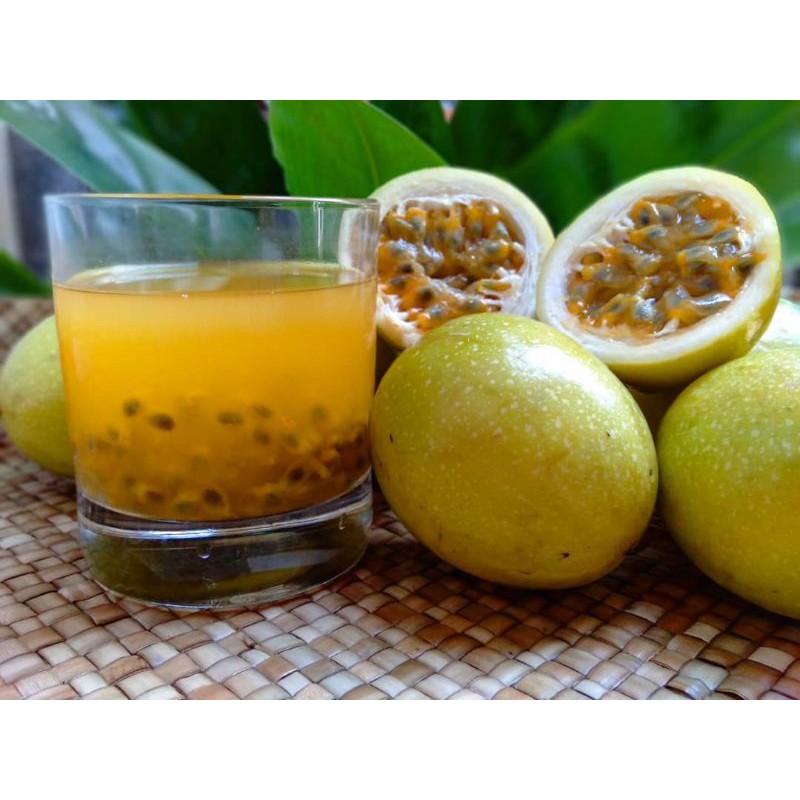 

Markisa Organik 1 kg / Markisa segar baru petik / Markisa lokal organik