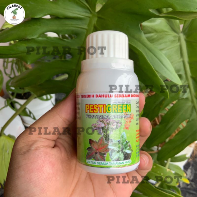 pestisida organik PESTIGREEN 100 ML - pembasmi hama kutu putih daun