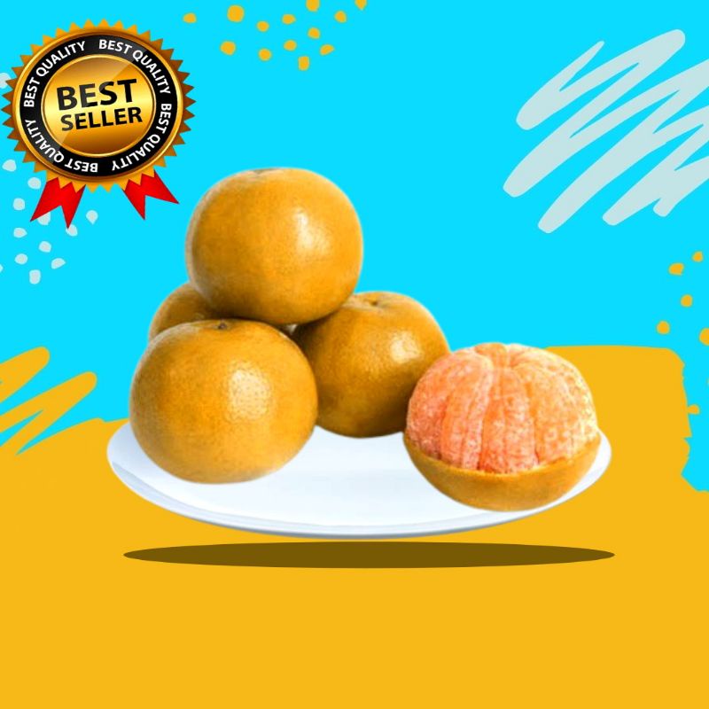 

Buah Jeruk Medan 1 kg Manis