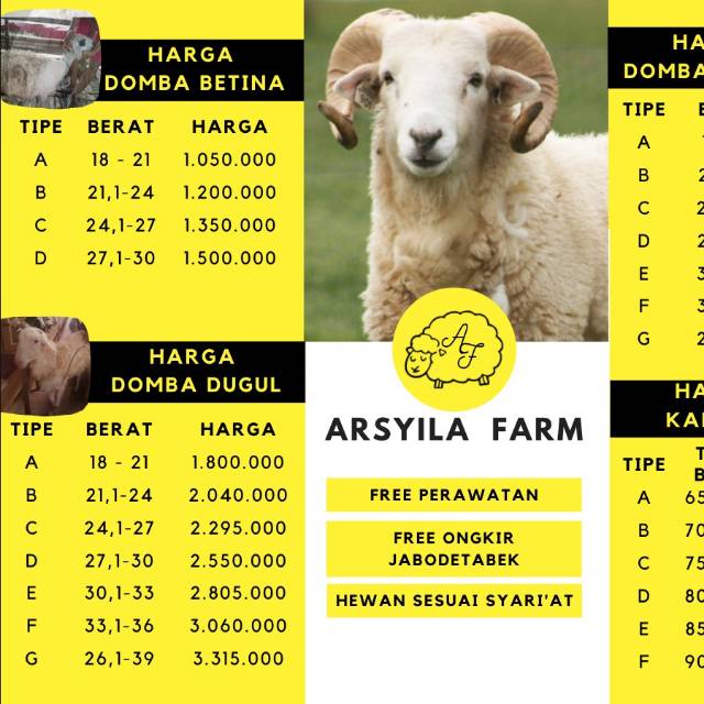 Harga 081291445433 Jual Kambing Qurban Cengkareng Jakarta Barat Terbaik Mei 2021 Indonesia