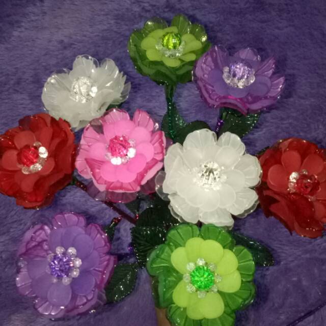 

Sakura dove kombinasi