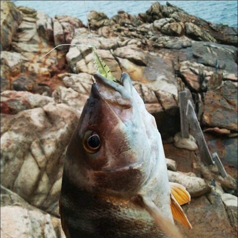 Set Umpan Pancing Softlure Bentuk Udang Bahan Silikon Dengan Kail Untuk Memancing Ikan FEZONE