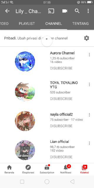 Silikon Brownat Karakter