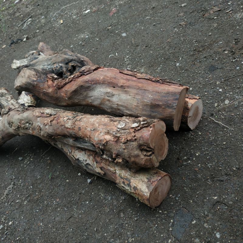 bahan kayu stigi 1kg gram