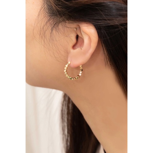 Ascott Earrings