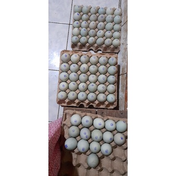 

Telur Asin Banjarbaru