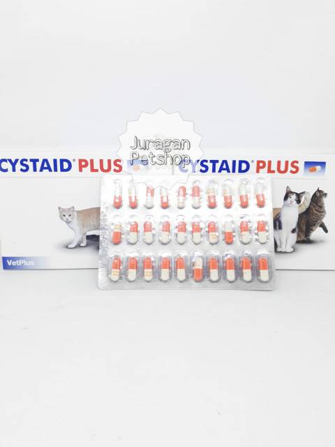 CYSTAID PLUS ( 1 CAPSULE) | Obat Penyakit Kemih Kucing/Anjing | Original Cystaid