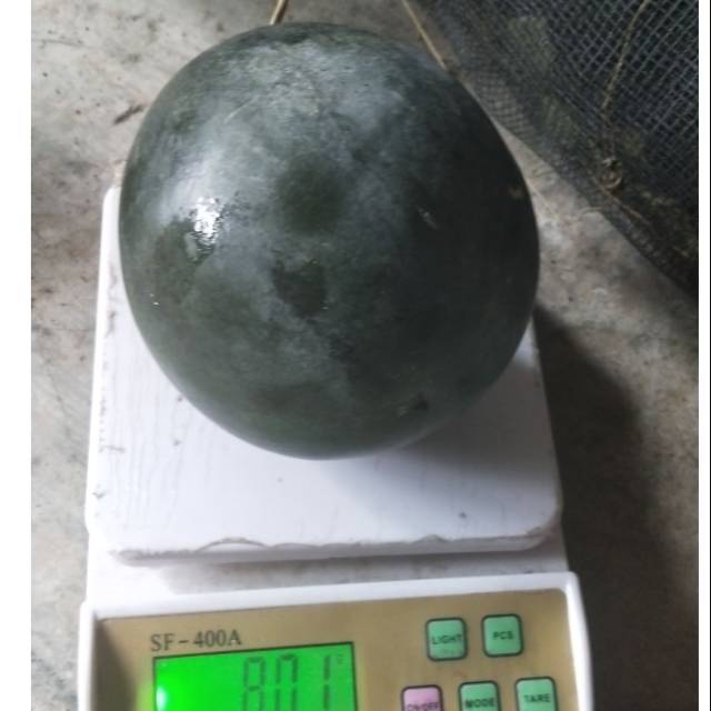 

Baby watermelon