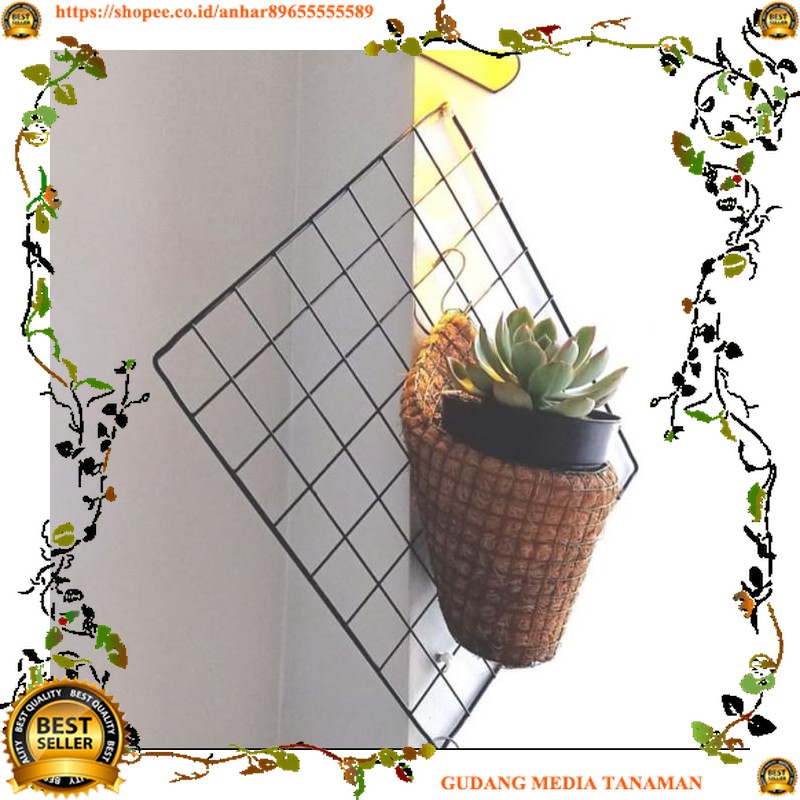 MEDIA Pot unik sabut kelapa pot dinding MEDIA