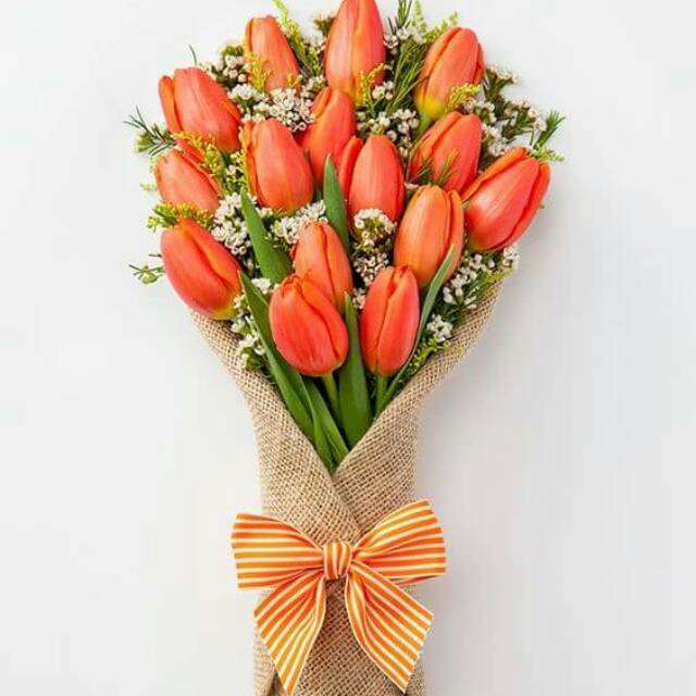 shahnazshahfistryawan