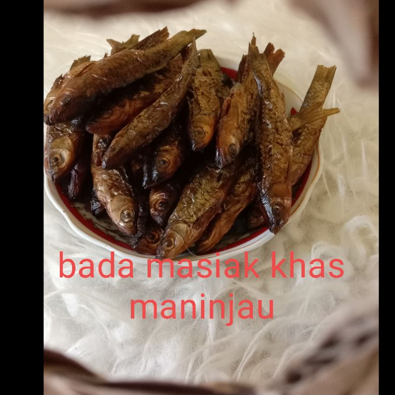 

bada masiak khas danau Maninjau