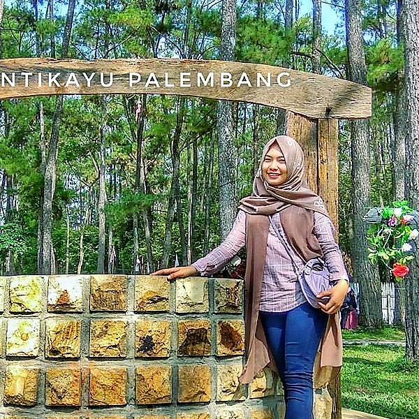 dinaandianiipratiwi