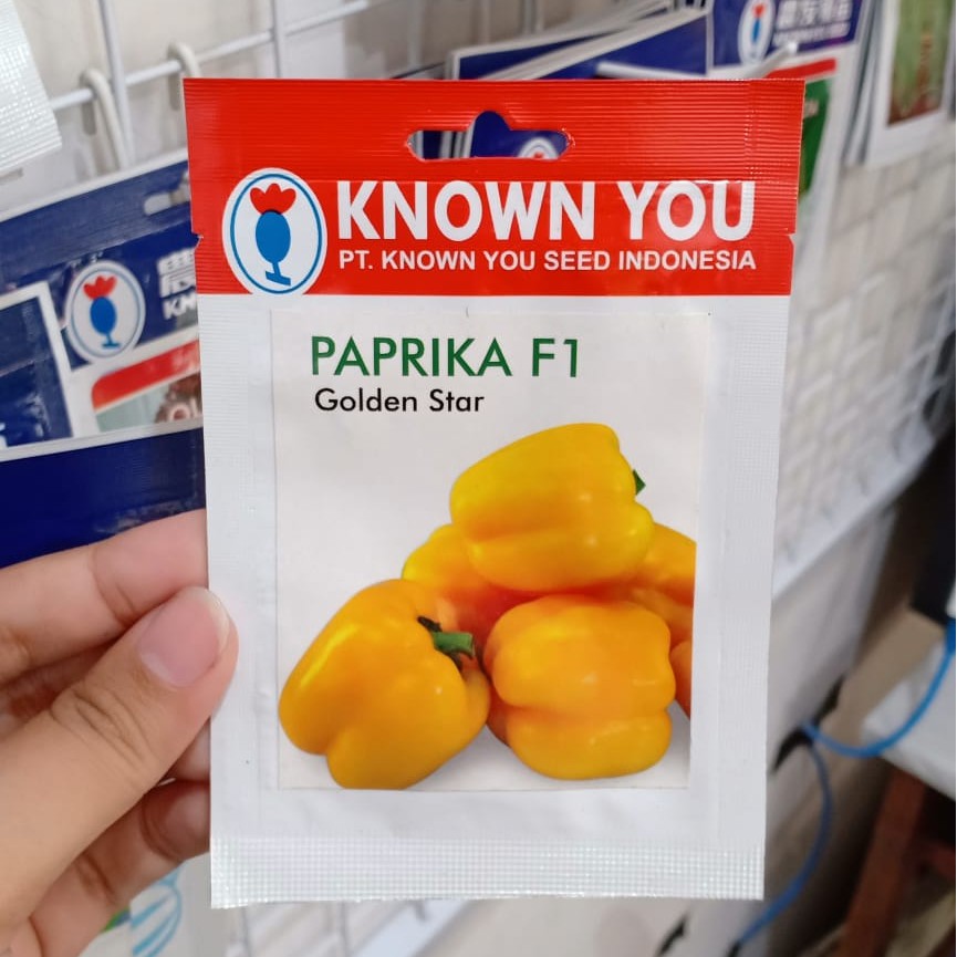 KYS - benih PAPRIKA KUNING GOLDEN STAR isi 15 biji - benih paprika - known you seed