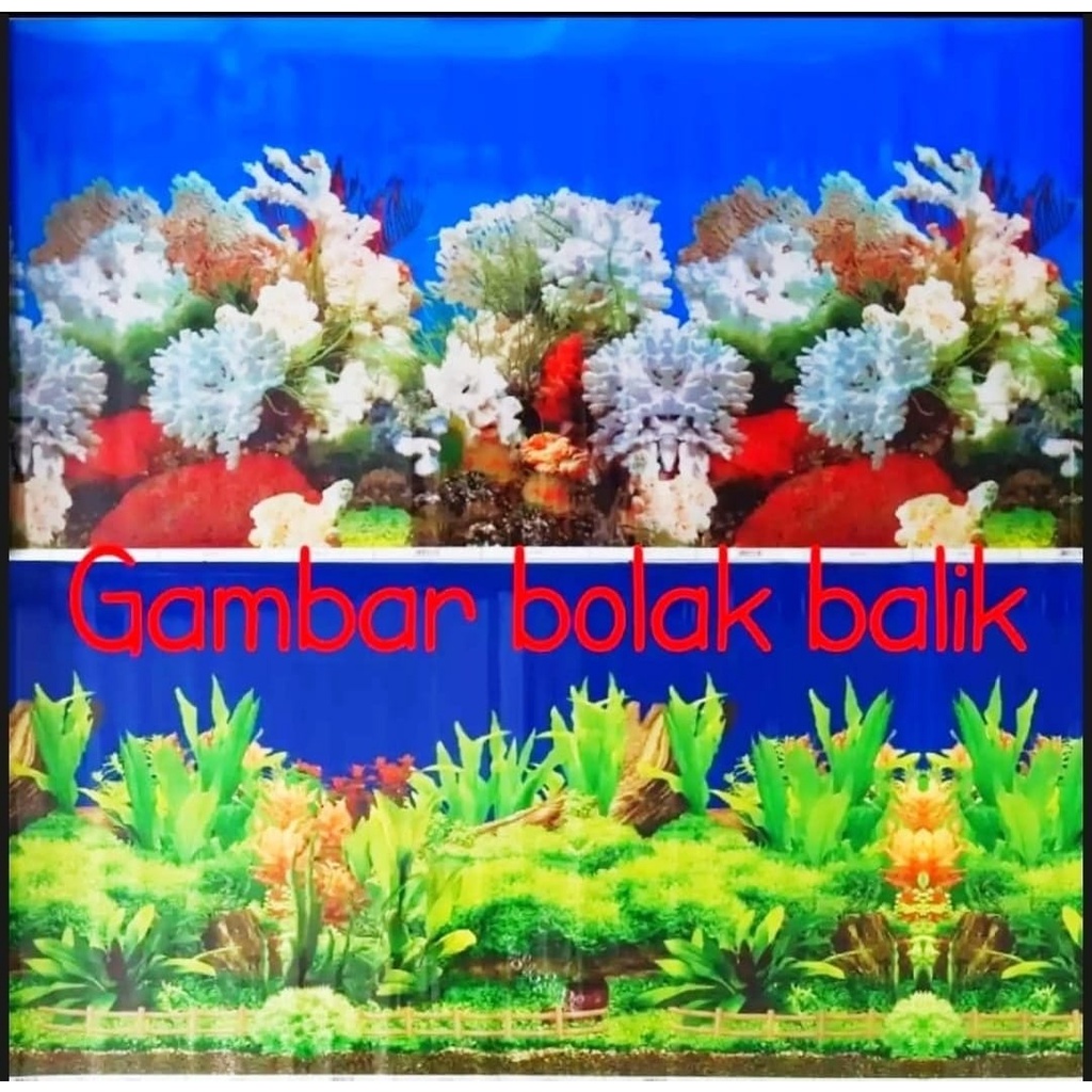 WALLPAPER AQUARIUM SIZE (30cm, 40cm, 50cm, 60cm) X PANJANG PER 50CM BACKGROUND STIKER LATAR BELAKANG