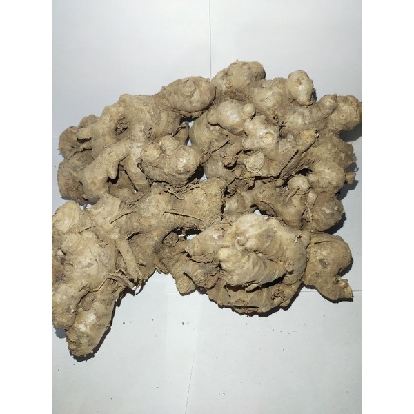 

JaheEmprit1kg/JaheJawaKhualitasSuper1kg