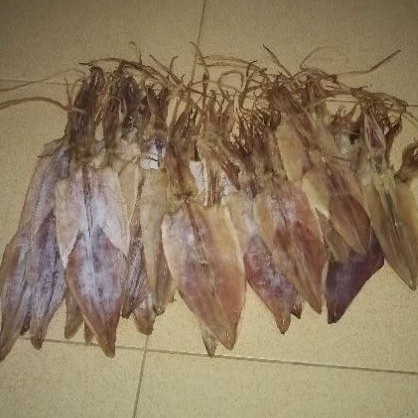 

Sotong kering/juhi/jiu ng/sotong pangkung Pemangkat/kalbar berat