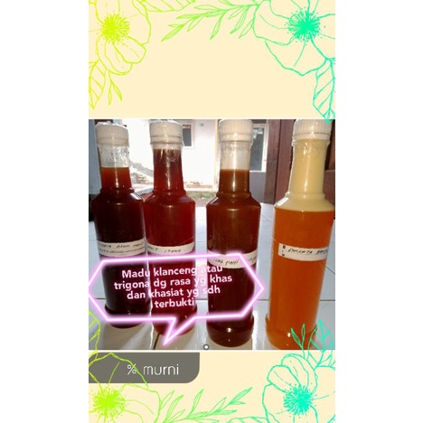 

grosir madu 5 liter madu klanceng atau trigona jenis itama ecer dan grosir
