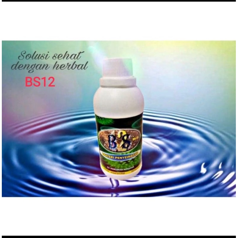 Obat herbal suplemen makanan bs12herbal
