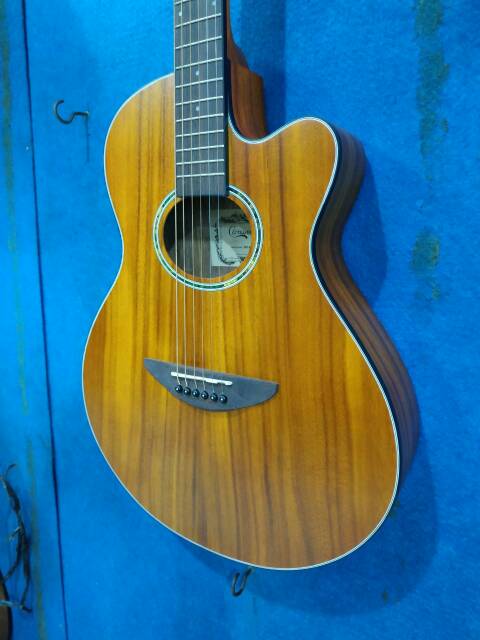 Gitar Akustik Merk Camwood Original Tipe IWC-38 NSK Solid Slim Senar String Trusrod Murah Jakarta