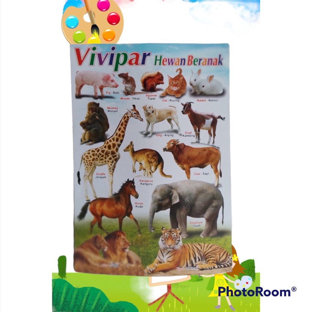poster aneka binatang beranak